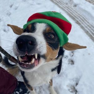 Meet your Posher, Esther